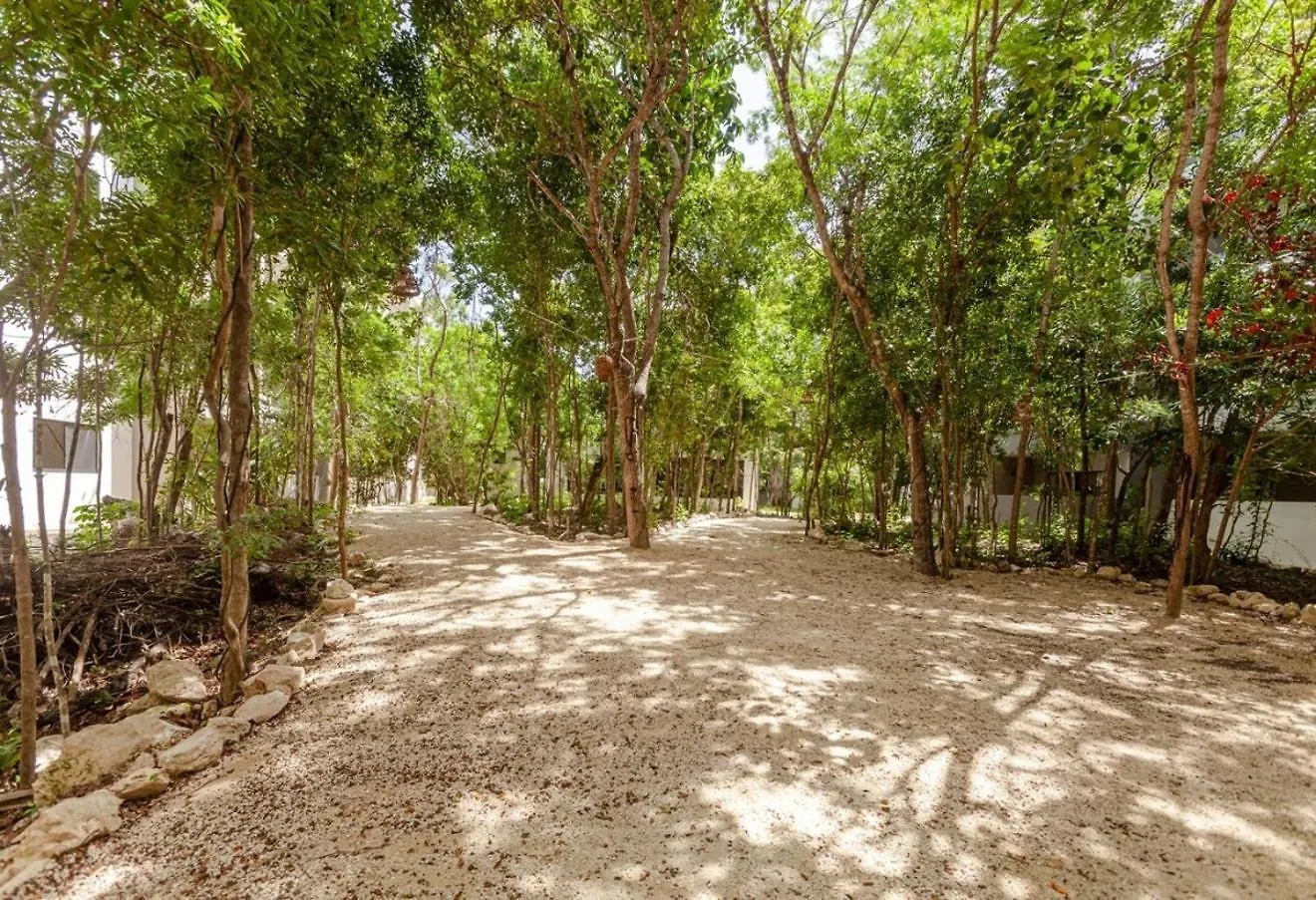 Appartement New! Lafrida Condo Style 10 Min To Caribbean! Playa del Carmen